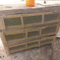 حمیدیه|لوازم جانبی حیوانات|حمیدیه, |دیوار