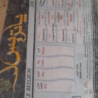 یک جفت فرش ۶متری|فرش|بندر انزلی, بی بی حوریه|دیوار