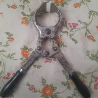 پنس اخته گاو گوسفند