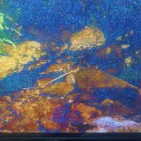 تلویزیون ال جی 42 دستگاه دیجیتال در حد نو|تلویزیون و پروژکتور|مشهد, امیر|دیوار