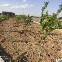 باغ ویلا در ابتدای جاده سوسن آباد
