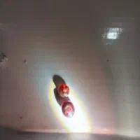 دوعددیاقوت سیلانی اصل