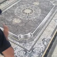 فرشینه ابریشمی|فرش|مشهد, کوی المهدی|دیوار