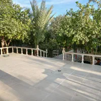 سرامیک کارم|خدمات پیشه و مهارت|رامهرمز, |دیوار