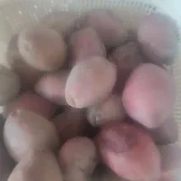 گارزنگی