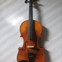 ویولن حرفه ای رناتو ۳۲۰ (Renato 320)