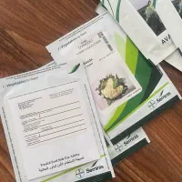 بذر گل کلم هیبرید ایوندلی و گل کلم کارن