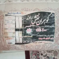 فرش ۹ متری|فرش|نظرآباد, صالح آباد|دیوار