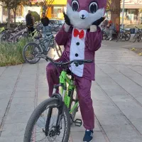 موزیک ، موسیقی زنده ،عمو موسیقی لباس عروسکی تنپوش|خدمات پذیرایی، مراسم|تهران, پونک|دیوار