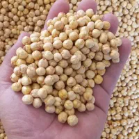 نخودچی پفک هندی|عمده‌فروشی|خرم‌آباد, |دیوار