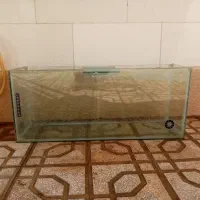 اکواریوم|ماهی|سبزوار, همت|دیوار