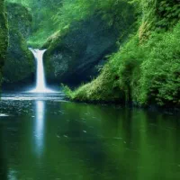 مسافرت دسته جمعی