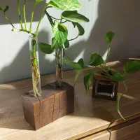 گلدون|صنایع دستی و سایر لوازم تزئینی|مشهد, چهارچشمه|دیوار