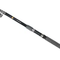 لنسر ماهیگیری نو