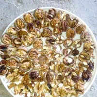 گردو کردستان|خوردنی و آشامیدنی|قدس, شهر‌قدس|دیوار