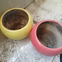دو عدد گلدان کاملا سالم