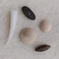 مهره اصل تضمینی