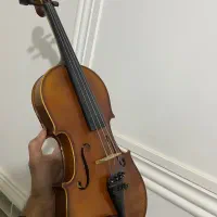 ویلن تی اف ۱۴۲|ویولن|زاهدان, |دیوار