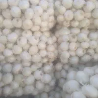 پیاز|خوردنی و آشامیدنی|قهدریجان, |دیوار