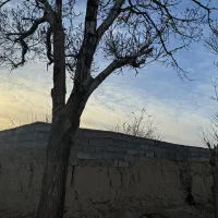 1500متر-باغ-قدیمی