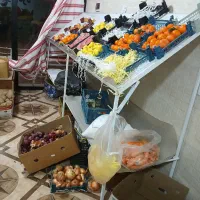 فروش لوازم میوه فروشی|فروشگاه و مغازه|آستارا, |دیوار