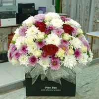 گل ملودی یزد انلاین