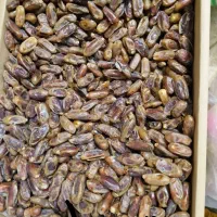 خرما خشک  شاهانی وشیره دار. کلی جزیی