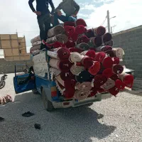 قالیشویی حاجی پور