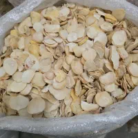 نیازمند موسیر