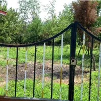 فروش ۸۵۰ متر زمین با پروانه ساخت روستای سلش سیاهکل