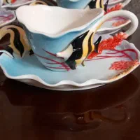 سرویس چایی خوری ماهی برجسته چینی نو با کارتن