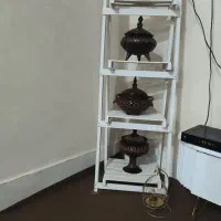 گیاهان سر حال|گل و گیاه طبیعی|شوش, |دیوار