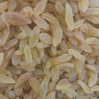 گردو کشمش و|عمدهفروشی|تنکابن, |دیوار