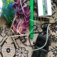 آکواریوم|ماهی|گرگان, |دیوار