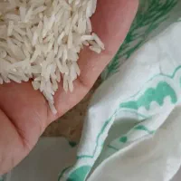 برنج هاشمی درجه یک|خوردنی و آشامیدنی|ساوه, |دیوار