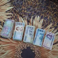 قیمت منصفانه|کلکسیون سکه، تمبر، اسکناس|اصفهان, ملکشهر|دیوار