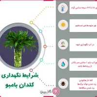 بار جدید شارژ شد|گل و گیاه طبیعی|ایرانشهر, |دیوار