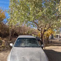 فروش سیلو|خودرو سواری و وانت|اسفندقه, |دیوار