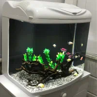 آکواریوم شرکتی دلسا