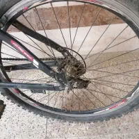 دوچرخه دنده ای|دوچرخه، اسکیت، اسکوتر|شوشتر, |دیوار