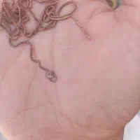 گردنبند۷۵۰ایتالیا|جواهرات|آبادان, |دیوار