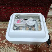 دستگاه جوجه کشی ۹۶عددی در حد نو