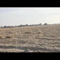 فروش-زمین