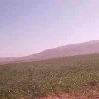 نیرو افغانی افغانی اتباع