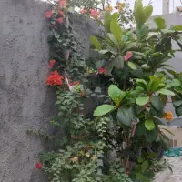 اجاره منزل مبله شهرستان پارسیان|اجارهٔ کوتاه‌مدت آپارتمان و سوئیت|پارسیان, |دیوار