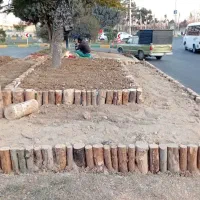 خدمات باغبانی حفظ نگهداری باغچه|خدمات باغبانی و درختکاری|کرج, فاز ۱ مهرشهر|دیوار