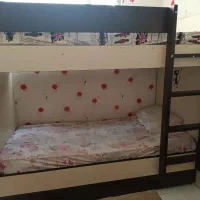 تخت چوبی دو طبقه جوان