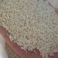 برنج  درشت هاشمی اعلا وهاشمی معطرگیلان|خوردنی و آشامیدنی|الوند, |دیوار
