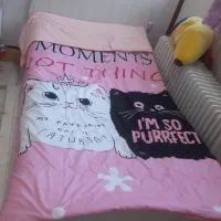 سرویس خواب کامل|تخت و سرویس خواب|کرج, برغان|دیوار