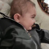 کالسکه و کریر